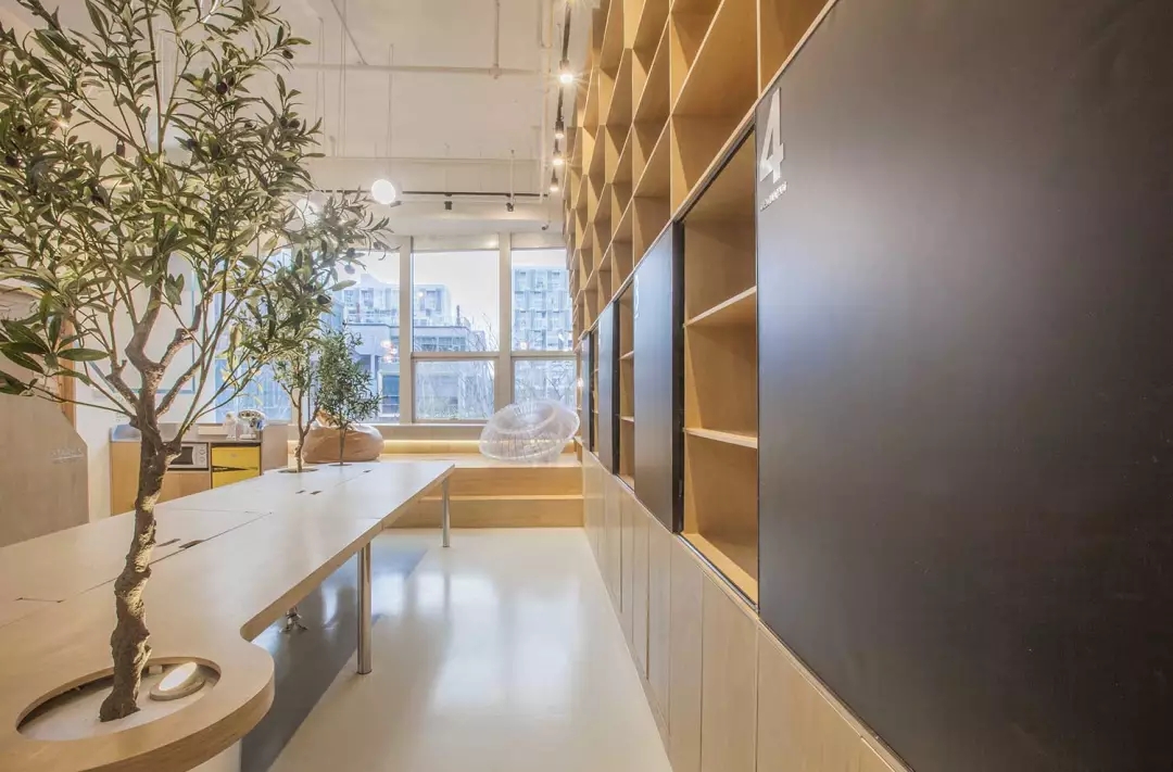 牛在墻上飛，猴子樹梢醉；這是在動物園辦公嗎？